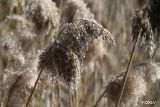 025 Natura grigia.jpg